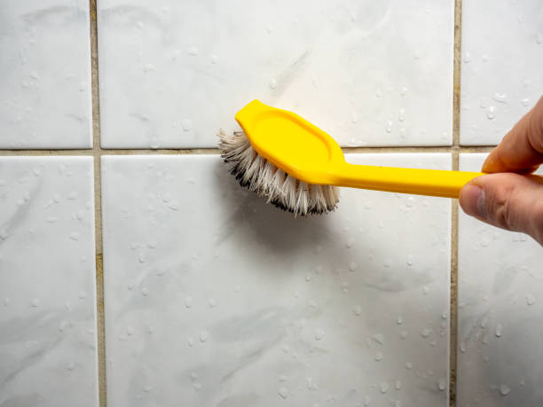 Best Certified Mold Removal  in Lucerne Valley, CA
