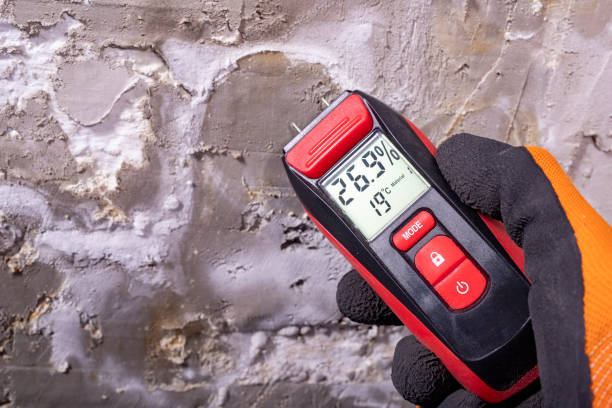 Office Mold Removal Services in Lucerne Valley, CA