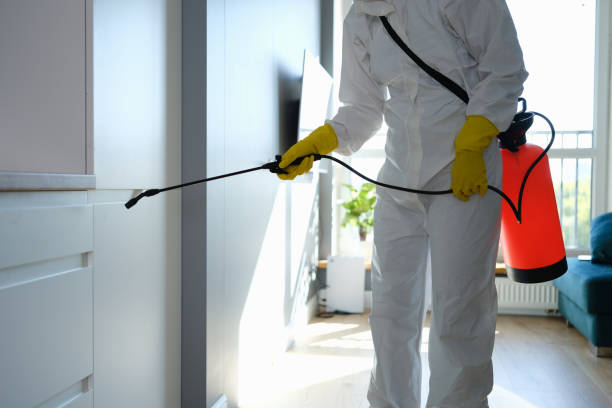 Best Mold Testing  in Lucerne Valley, CA