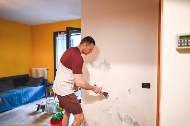 Best Home Mold Removal  in Lucerne Valley, CA